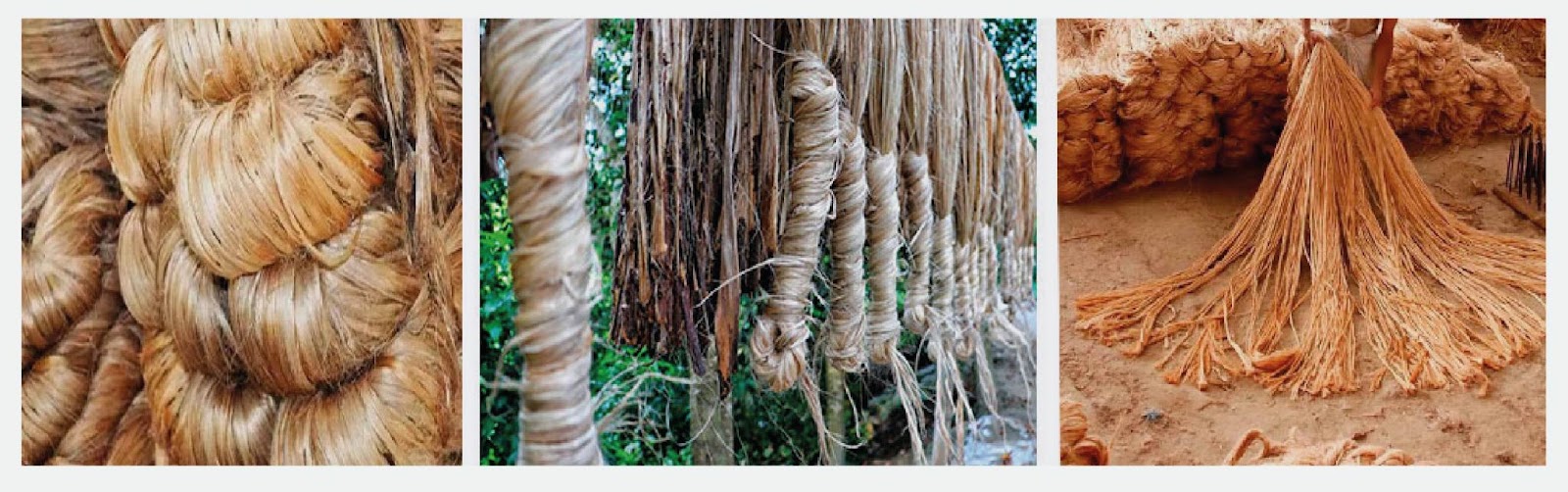 Las bolsas de yute como artículo promocional barato y sostenible 3 cómo se elabora el yute, una fibra natural