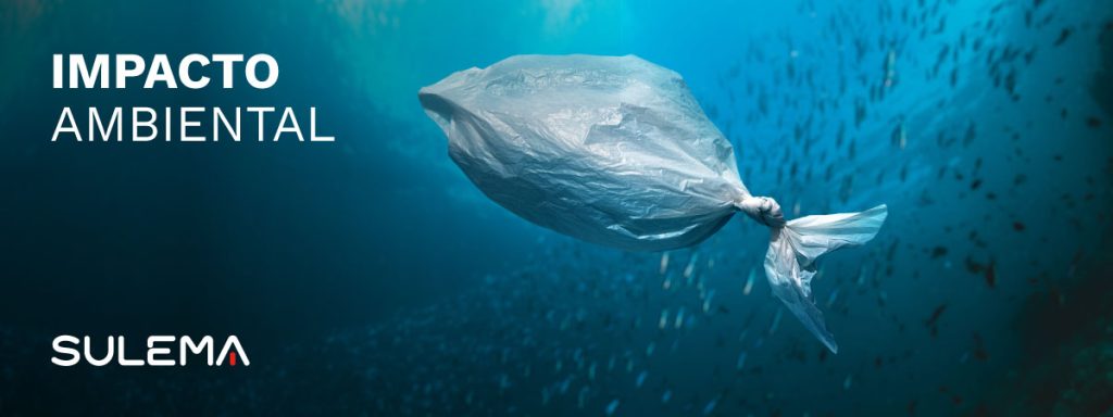 El impacto ambiental positivo de los cepillos de dientes de bambú 2 El impacto ambiental positivo de los cepillos de dientes de bambú 1